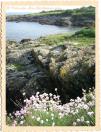C�te de Brigneau