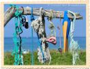L'arbre de la mer et ses tr�sors ...