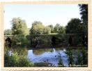 Pont 
